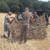 photo Angleterre