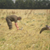photo Angleterre