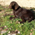 photo Bielorussie